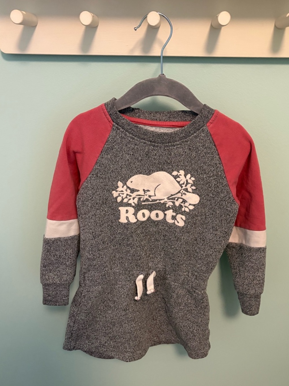 Roots Sweatshirt Dress